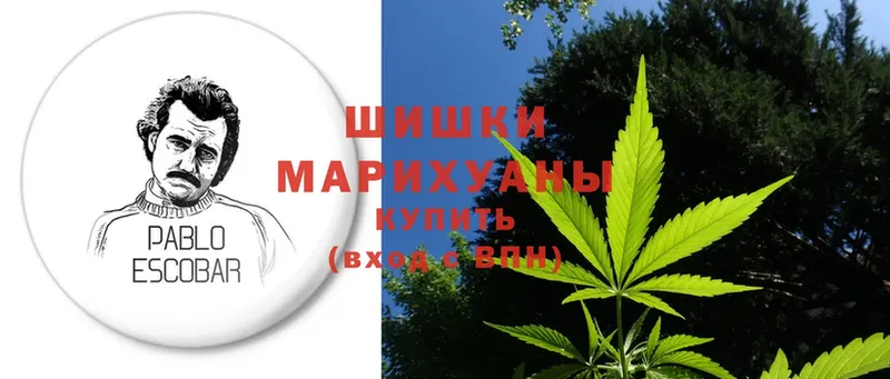 Марихуана OG Kush  Кисловодск 